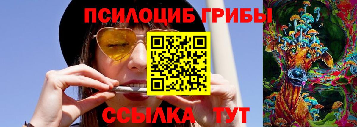 Галлюциногенные грибы Psilocybine cubensis  Вход с VPN  Торжок 